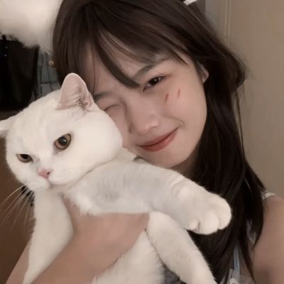 kaiyun手机版网页版登录入口