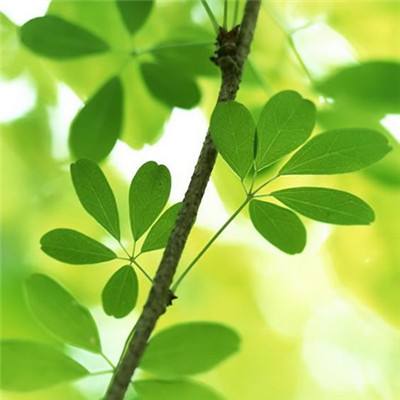 江南APP体育官方网站