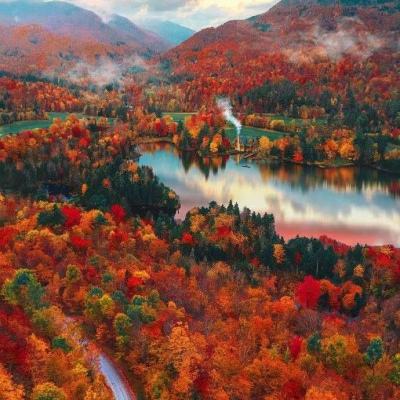 手机买彩票app下载手机app下载