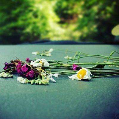 天博体育官方平台入口下载手机版