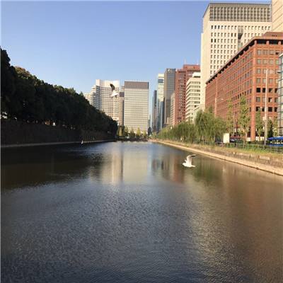 天博体育官网下载入口