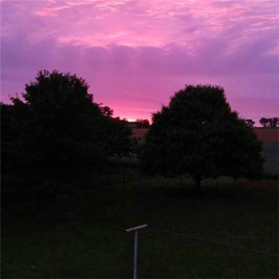 2023年香港资料精准下载手机版