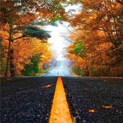 天博体育官方平台入口下载手机版截图