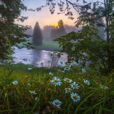 极速赛车信誉老平台