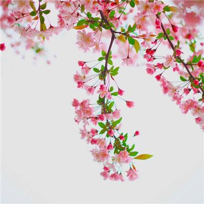 火狐体育下载app